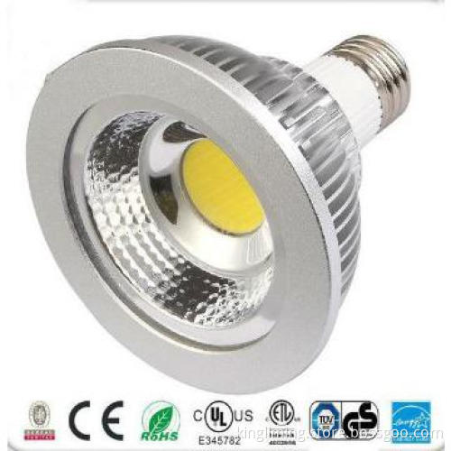 10W COB PAR30 led lamp with UL listed